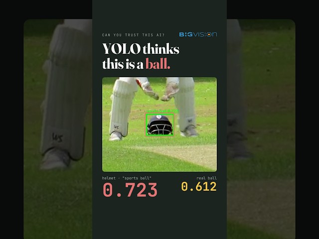 YOLO Thinks This Helmet Is a Cricket Ball