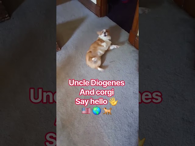 Thanks for stopping by!