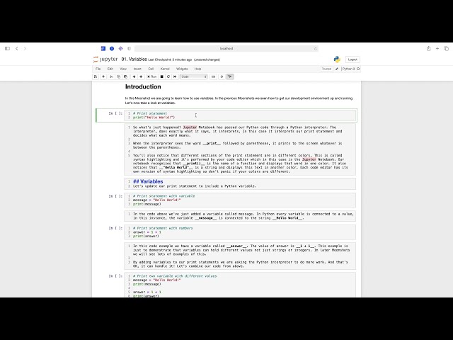 How to work with variables in Python