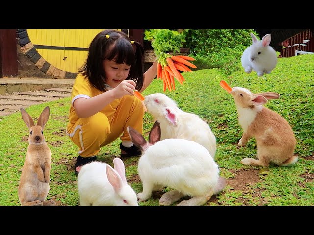 Lets Feeding Rabbits and Milk the Cows | Learn to Know Cute Animals for Kids