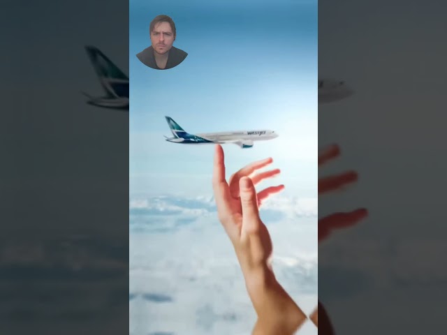 DOES HE TOOK A FLIGHT JUST FOR THIS PICTURE??