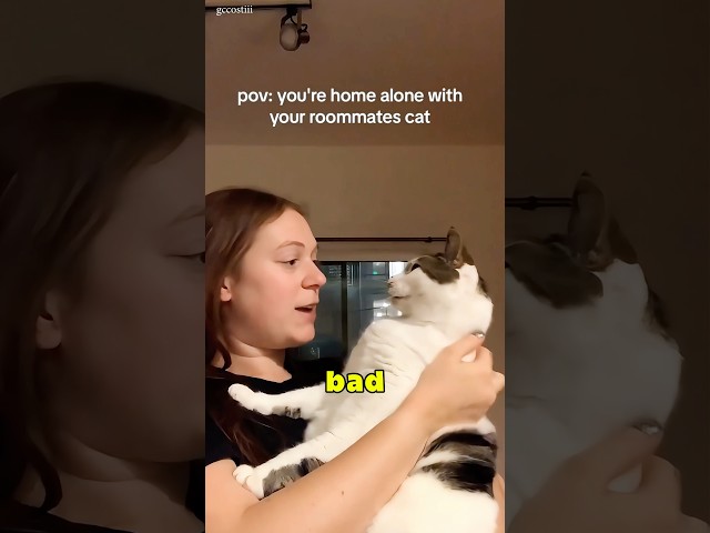 I Own the House, but My Cat Owns Me 😹🙃 #shorts #cat #funny