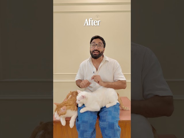 Creating cat content is already chaotic enough. But with Adobe Premiere on mobile helps me a lot☺️