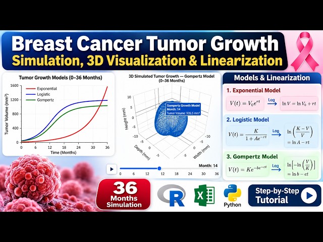 Breast Cancer Tumor Growth Modeling | 36-Month Simulation, 3D Visualization & Linearization