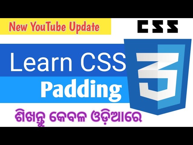 CSS Tutorial in India | Use CSS Padding