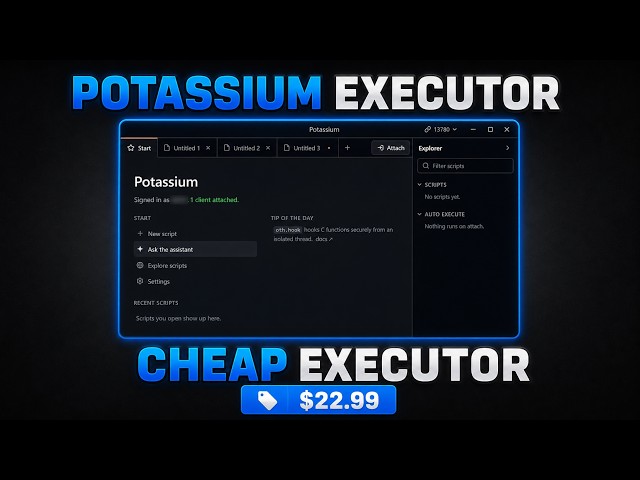 BEST CHEAP ROBLOX EXECUTOR 100 SUNC 100 UNC Potassium executor(NEW)