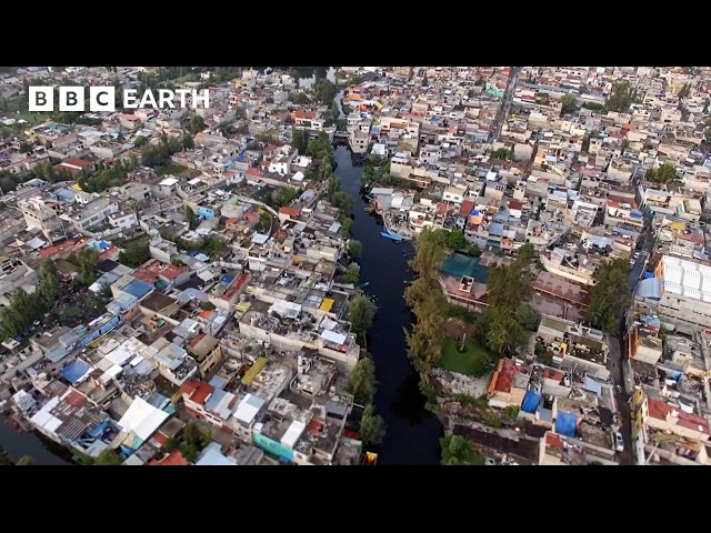 Life Inside the Busy Cities of the World | The Travel Edit