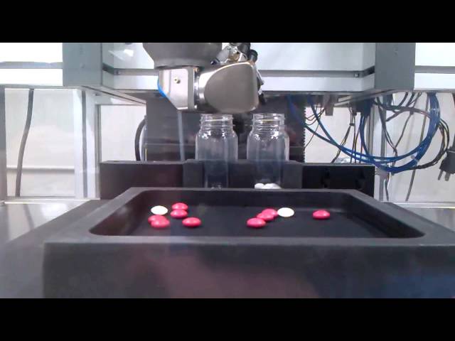 Fanuc Robot - Vision Pill Sorting