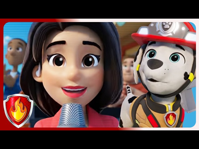 Pups Make the News!  | Marshall PAW Patrol  | Cartoons For Kids