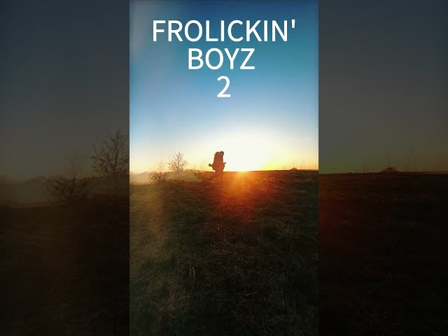 Frolicking Boyz 2