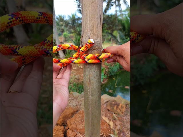 Tips and tricks knot! #knot #rope #bushcraft #diy #tutorial