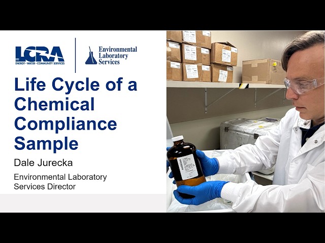 03 Life Cycle of a Chemical Compliance Sample
