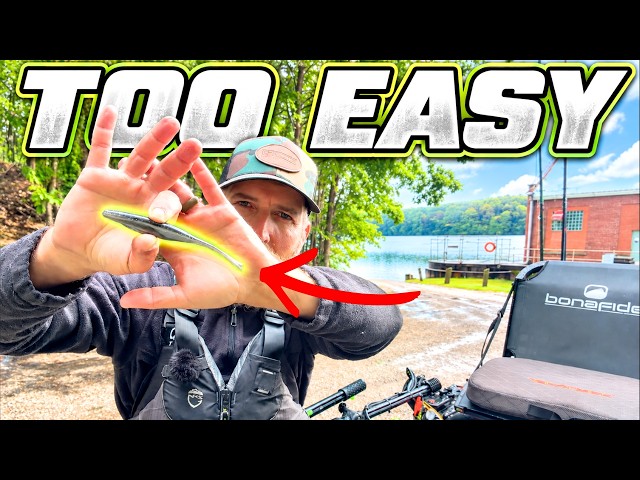 6 October Bass Lures That Feel Like Cheating