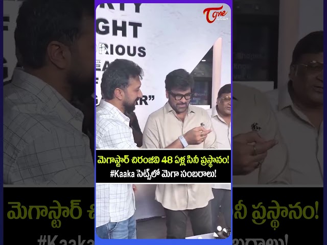 Megastar Chiranjeevi 48 Glorious Years Celebrations 🎉 | #Kaaka Sets | Chiranjeevi | #shorts
