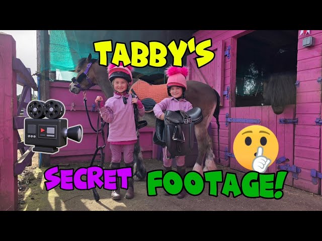 👉 My Pony Was Secretly Filming… and Exposed EVERYTHING 👀🐴