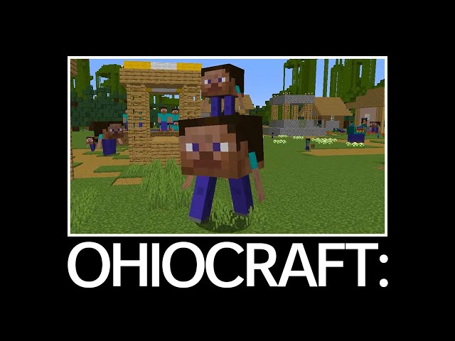 can't even play minecraft in ohio 💀