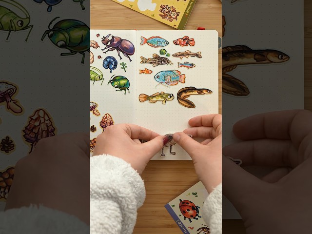 Don't be afraid to use your stickers! here's why