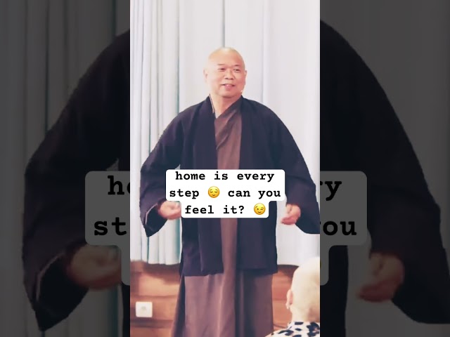 Coming back to our body and taking care of our mind with mindful walking 👌🤎🙏  #zen #buddhistmonk