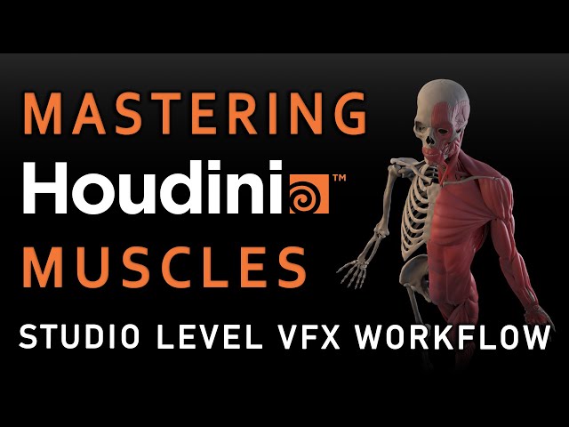 Mastering Houdini Muscles: A Studio Level VFX Workflow (Trailer)