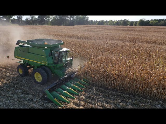 Corn Harvest!! Why Only 6 Rows At A Time??