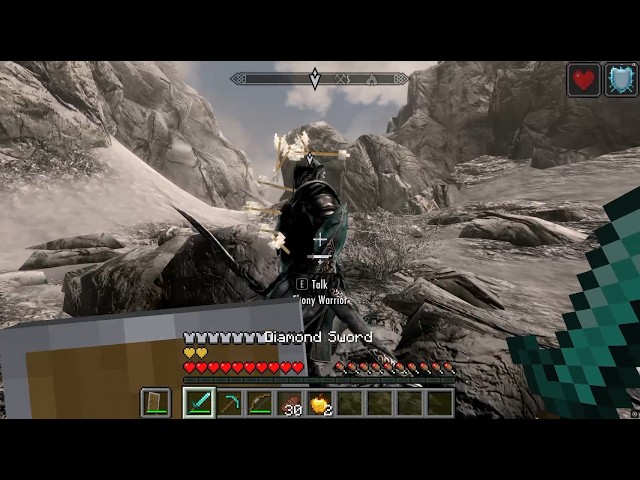 Minecraft Steve vs Ebony Warrior