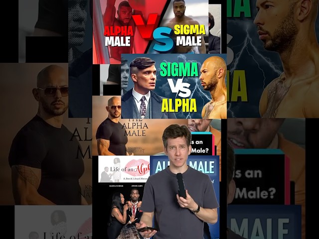 Are you an ALPHA or BETA male?
