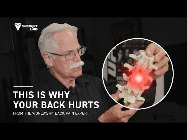 World’s #1 back pain expert shares the #1 cause of back pain