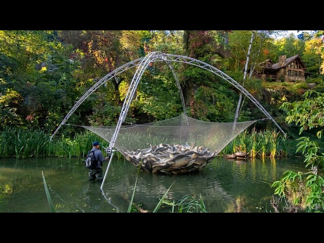Mastering the Lift Net: Pro Secrets for Bait