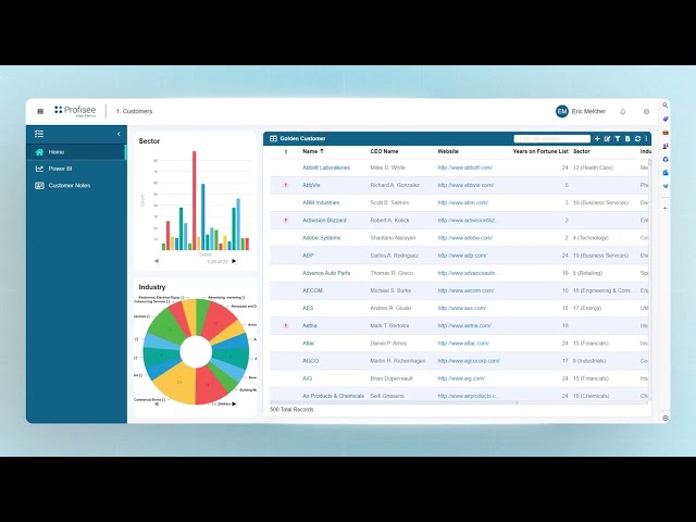 2024 Profisee MDM & Microsoft Purview Integration