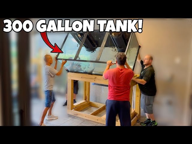 Moving My 300 Gallon Aquarium… This Almost Went Wrong