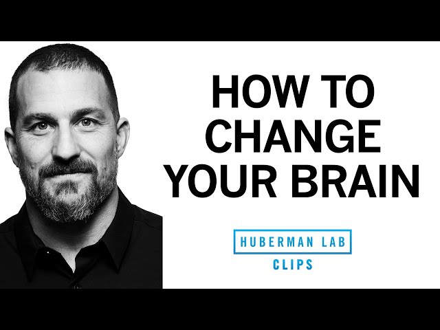 How to Change Your Brain & Increase Neuroplasticity at Any Age | Dr. Andrew Huberman