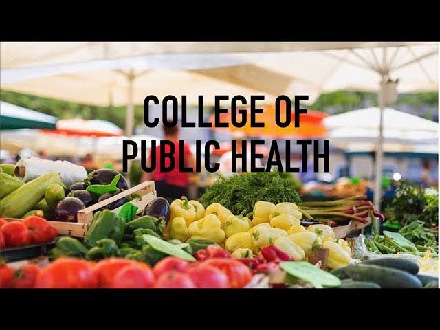 College Overview: College of Public Health