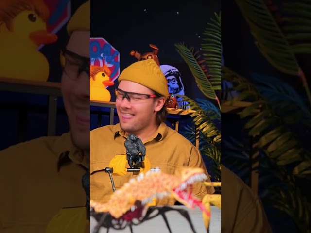 The Scariest Zoochosis DIY Ever Created!