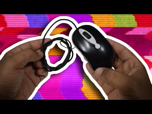 Three super fun experiments using a mouse!
