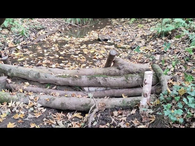 Transforming the Lower Hoopern Valley | Biodiversity, Flood Management & Community Engagement