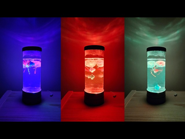 Jellyfish Lamp Jellyfish Lava Lamp - Review and Build Instructions