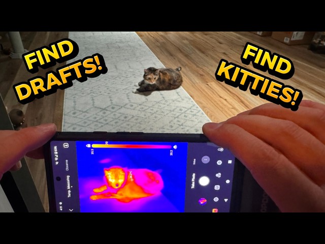 Fast thermal imaging with your smartphone! TopDon TCview TS001 Review