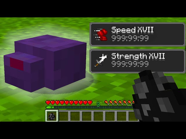 I created Minecraft’s deadliest endermite…