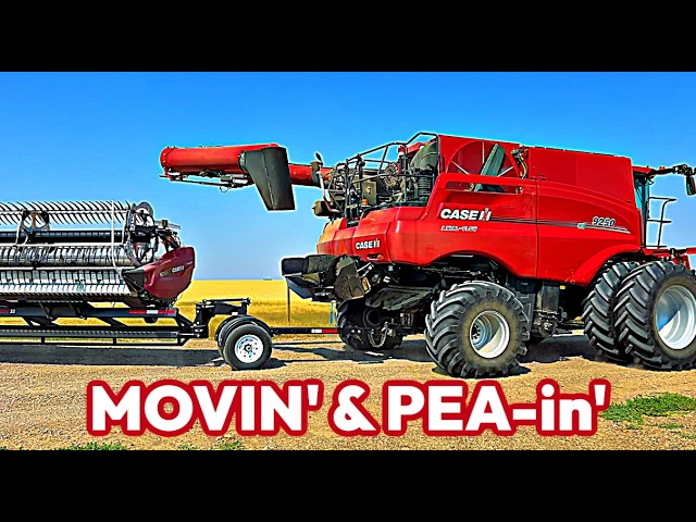 Harvest Day 12:  25 miles + over 1,000 acres PEAing!