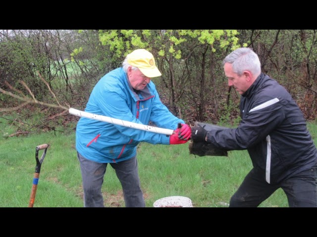 Rotary ReForest London Tree Planting