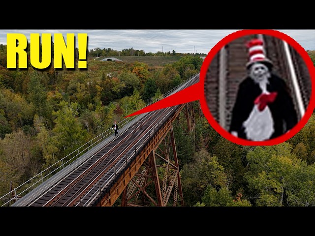 Drone catches REAL Cat in the Hat on Haunted Bridge (We found him!!)
