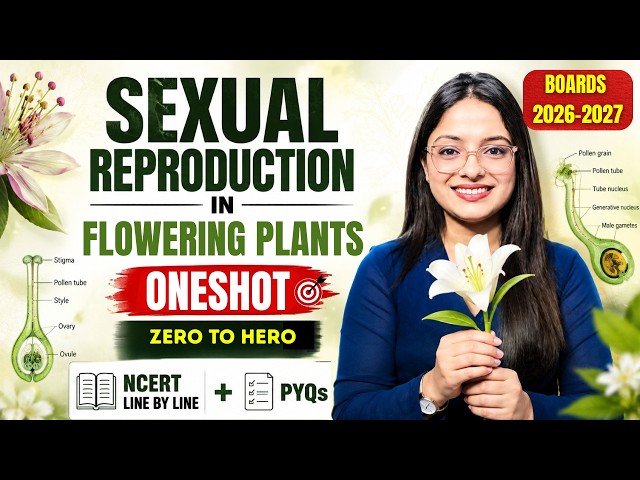 Sexual Reproduction in Flowering Plants Class 12 Biology Chapter 1 | Board Exam 2027| NCERT + PYQs