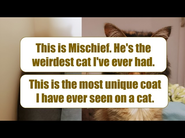 Awwdorably Weird Pets That Are As Funny As They Are Adorable