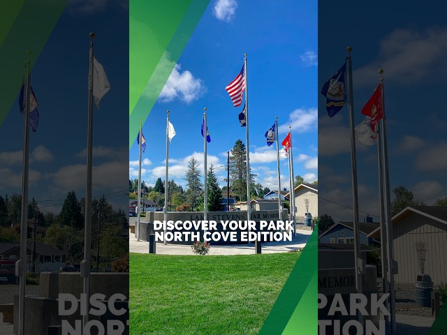 Discover North Cove Park in Lake Stevens