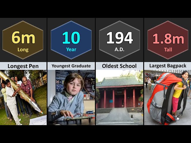 World Record of School