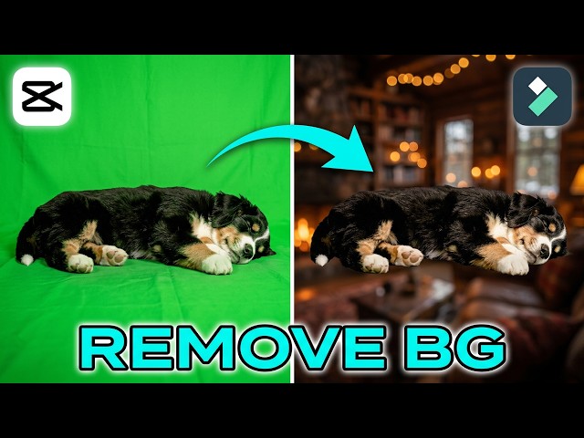 How to Remove Green Screen using CapCut & Filmora
