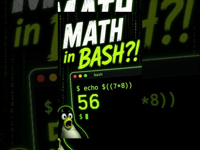 Mathe im Terminal