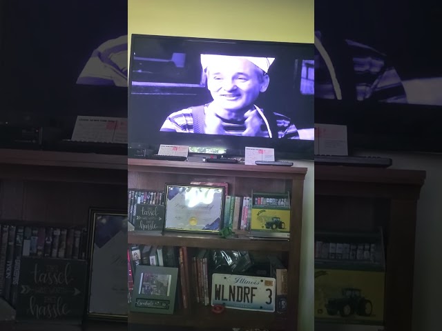 Opening to Intermission 2003 DVD