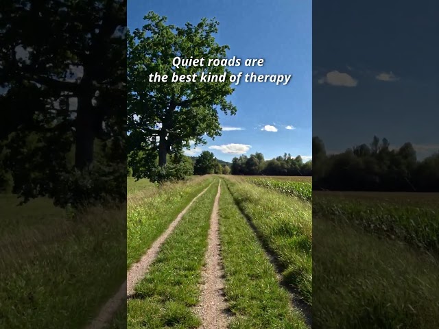 Quiet roads are the best kind of therapy. 🌾 #virtualcycling #nature #countryside