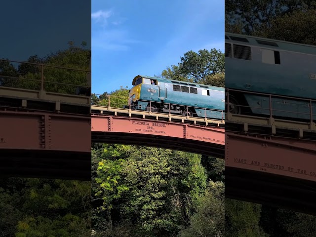 🚆 Western Courier Crosses Victoria Bridge #railway #trains #shorts